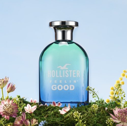 HOLLISTER